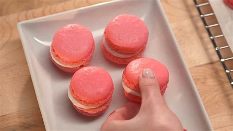 Pastel Macarons Bulk Barn Recipe Youtube