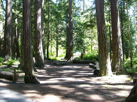 We did not find results for: Camping - Deception Pass Park Foundation