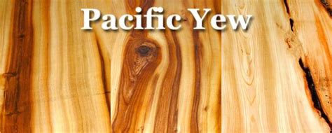 Pacific Yew Wood Lumber Outdoorwood Outdoor Wood Yew
