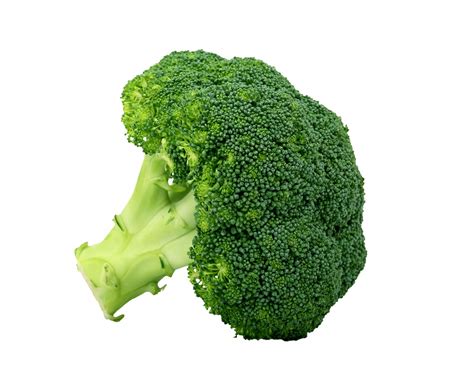 Broccoli Isolated On White Free Stock Photo Public Domain Pictures