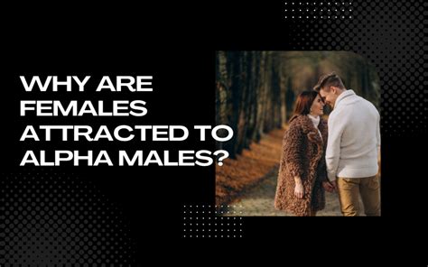 Key Tips For Attracting An Alpha Male