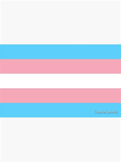 Trans Pride Flag Poster By Assignedmale Redbubble