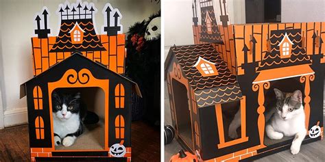 Last but not least, you have to take care of the final touches. You Can Get a Haunted House for Your Cat at Target, So ...