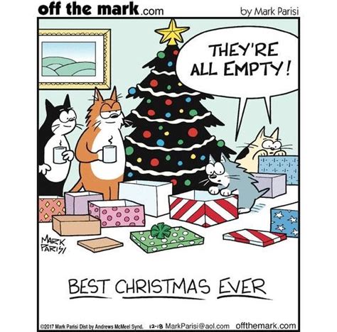 Empty Box Fun Cat Jokes Funny Cat Memes Memes Humor Christmas