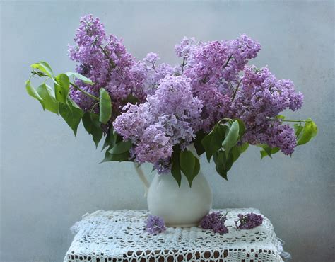 Download Lilac Vase Photography Still Life Hd Wallpaper