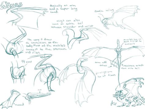 Some of this video is narrated and then some is. Dragon Wing Tutorial by *Nakase on deviantART | Dragon ...