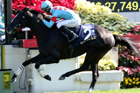 Hong Kong Vase goes to Magic Man and Japan - Racenet