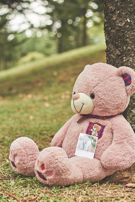 Teddy Bear Lonely Toys Free Photo On Pixabay Pixabay