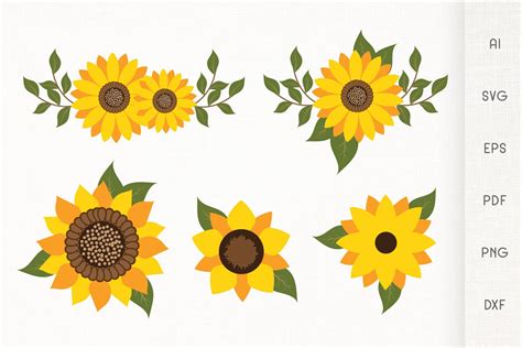 Sunflowers SVG - Sunflower With Leaves - Vector (819593