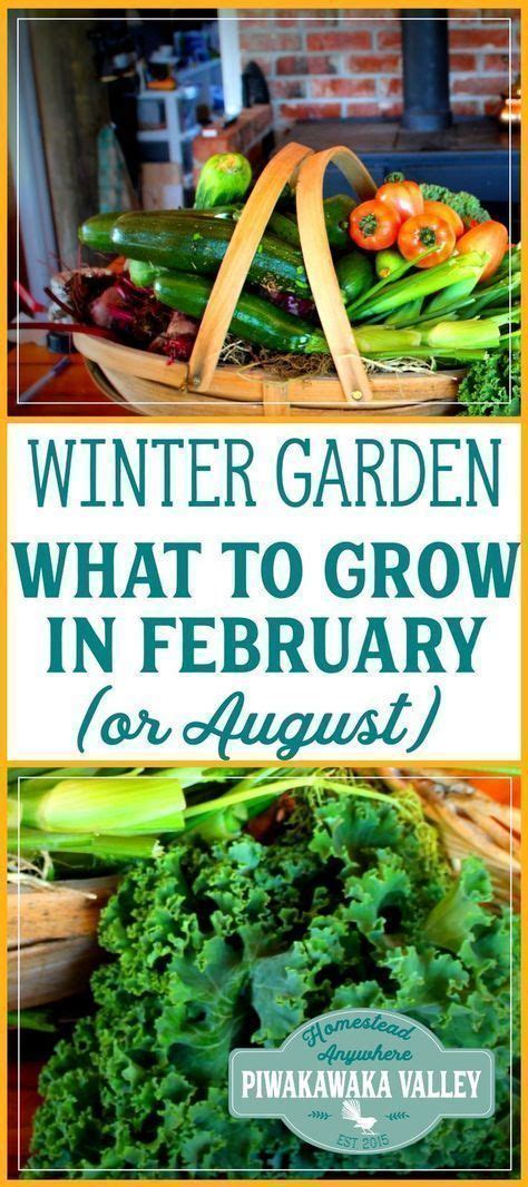 Growing A Winter Vegetable Garden Here Is What To Plant In February