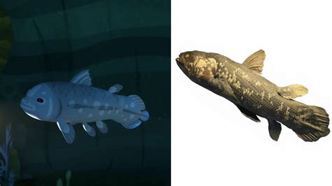 Coelacanth Of Octonauts In Real Life Endless Awesome