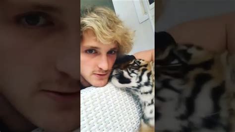 Logan Paul Vs Tiger Cub And Tortoise Youtube
