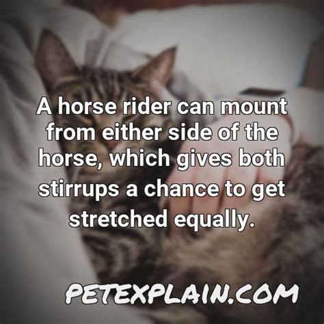 Why Do You Mount A Horse From The Left Side Beginners Guide Pawsgeek