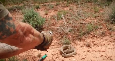 Rattlesnake Hunting With The Colt Peacemaker Air Gun Replica
