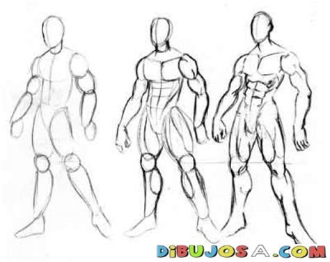 Cuerpo Humano Drawing Cuerpo Humano Dibujo Dibujos Figura Humana