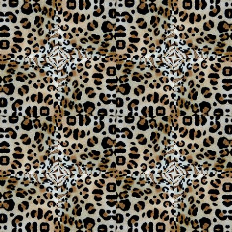 Animal Pattern 2015 36 Free Stock Photo Public Domain Pictures