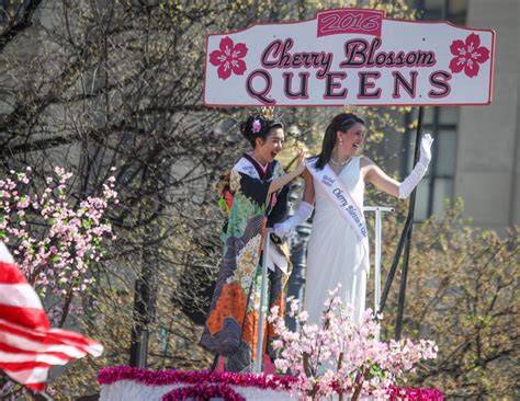 Who Gets To Be The Cherry Blossom Queen The Process Is More Random