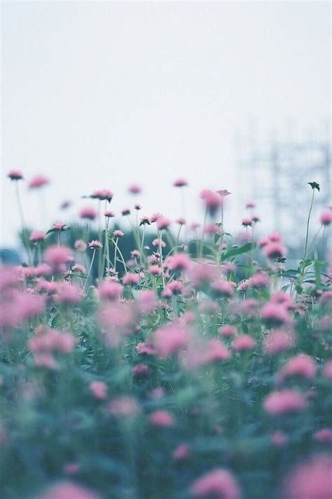 Image About Pink In Beautiful By Julieta On We Heart It