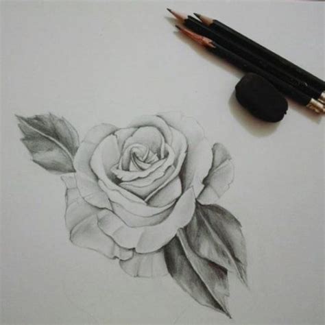 Imagenes De Rosas Chidas Para Dibujar A Lapiz Chicas Española