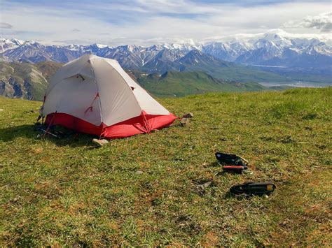 Camping And Backpacking Guide To Denali National Park