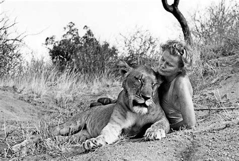 Born free stock photos and images (797). Born Free Lives on in Kenya |Travel Blog | The Planet D