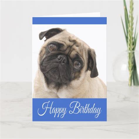 Happy Birthday Pug Puppy Dog Blue Greeting Card Zazzle Happy