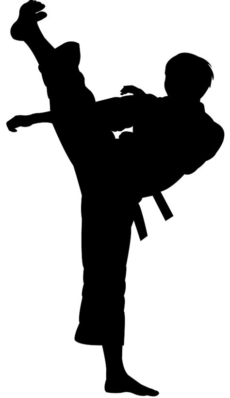 Karate Kick Silhouette Free Vector Silhouettes