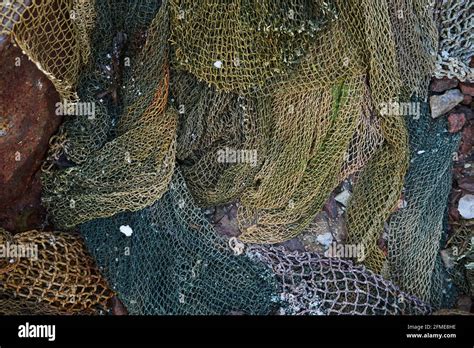 A Fishing Net Is A Net Used For Fishing Nets Are Devices Made From