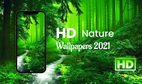 2021 Nature Wallpapers Wallpaper Cave