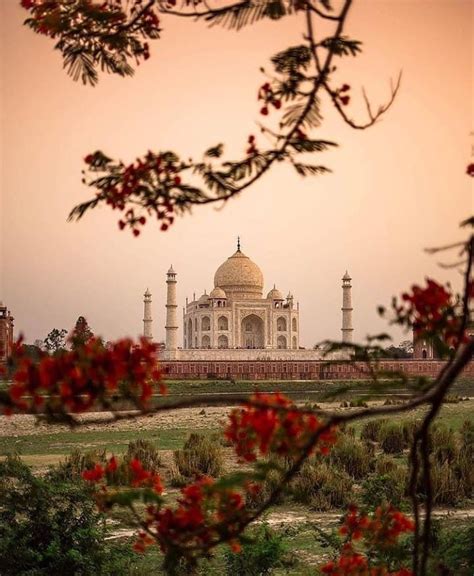 the tajwa mosque in india is surrounded by red flowers and greenery at sunset