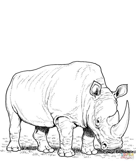 Coloring Pages Rhinoceros Free Wallpapers Hd