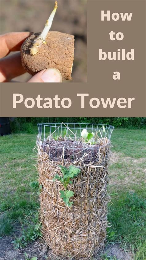 How To Build A Potato Tower