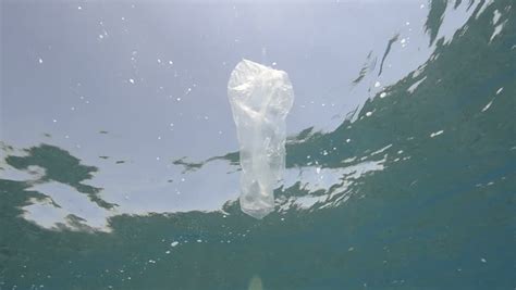 Plastic Bag Floating In Shallow Tropical Water Stock Footage Video