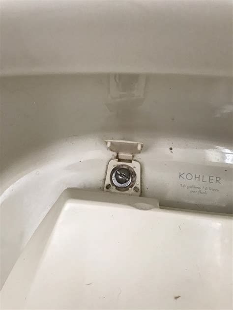 How To Remove Kohler Toilet Seat Bolts Velcromag