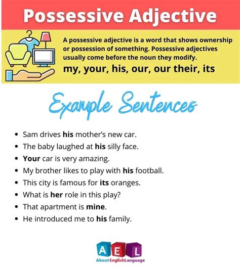 Possessive Adjective Definition And Examples Hot Sex Picture
