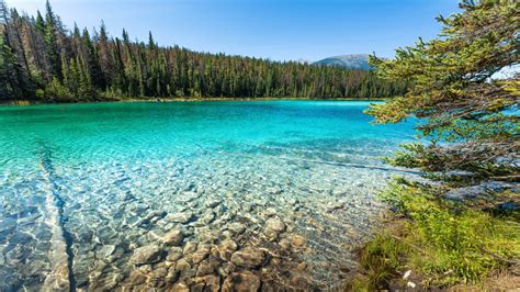 22 Clear Lakes In The Us Youll Need To See To Believe