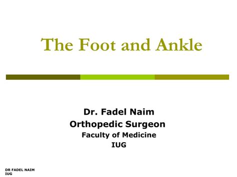 Ppt The Foot And Ankle Powerpoint Presentation Free Download Id
