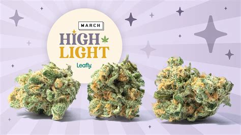 Why Has Leafly Created A New Visualization System For Cannabis Leafly