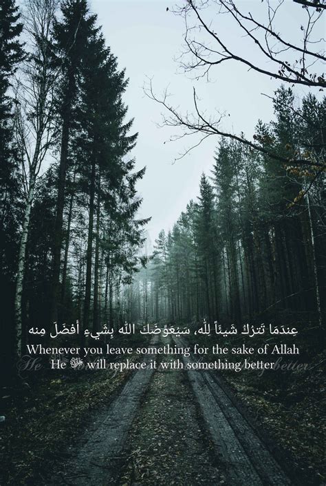 Best Quran Quotes Wallpaper Landscape Nature Art Quotes And Wallpaper B