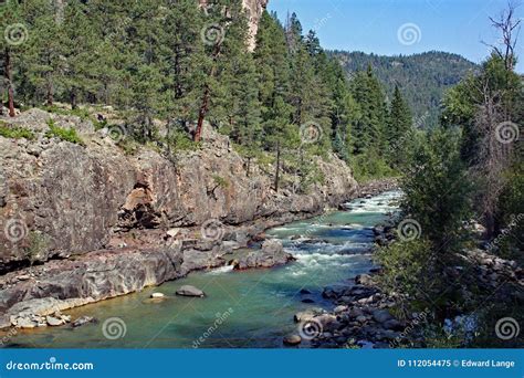 Mountain Stream In The Colorado Rockies Stock Image Image Of Stream