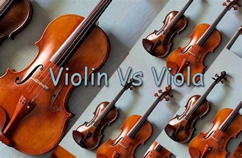 Perbedaan Alat Musik Biola Dan Viola Kursus Musik Belajar Alat