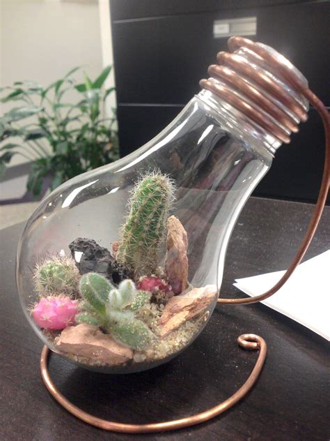Leave a like comment follow. Light bulb planter...My dad made this for me! Cactus ...