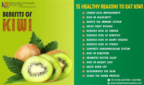 Kiwi Helps In Weight Loss Weightlosslook