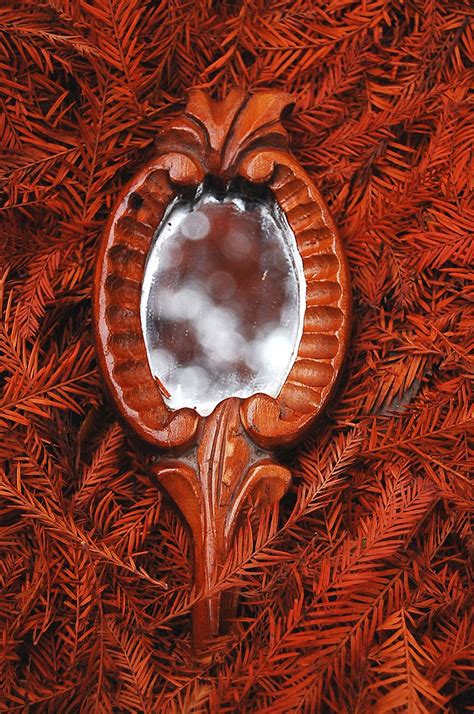 A Mirror Is Sitting In The Middle Of Pine Needles