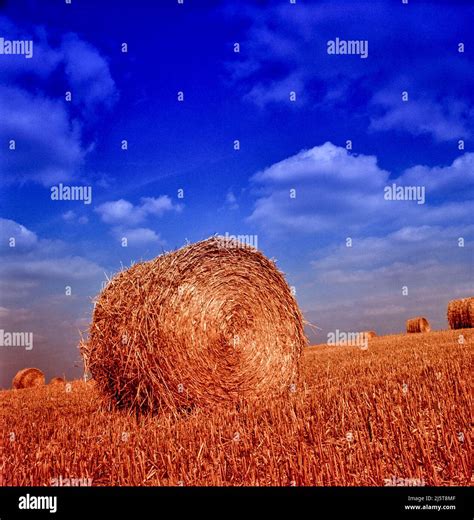 Vivid Landscape With Single Prominent Round Hay Bale On A Slant Stock