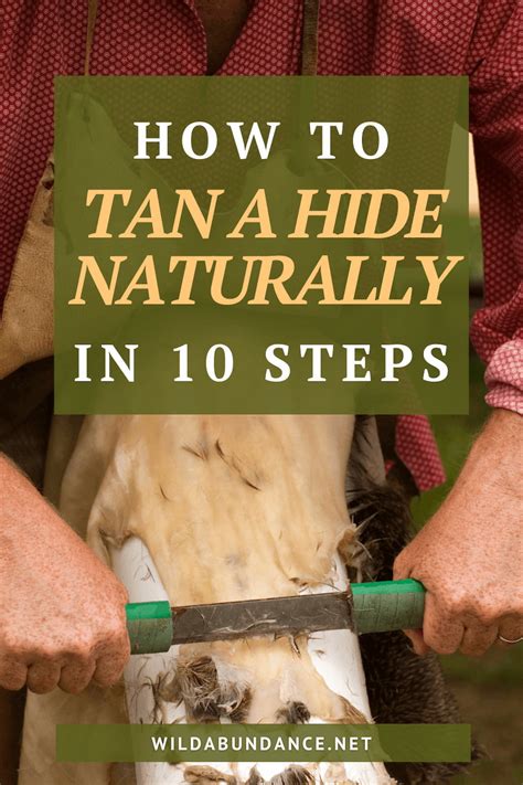 How To Tan A Deer Hide Naturally In 10 Steps Wild Abundance