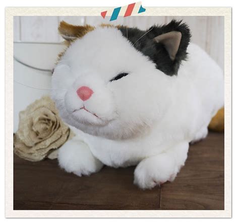 Search the world's information, including webpages, images, videos and more. Cuddly（カドリー） 猫のぬいぐるみ マリア りらっくす 猫グッズ ...