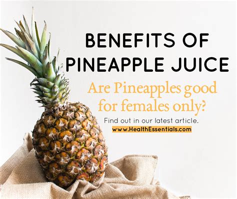 Is Pineapple Good For Sexually Benefits And Uses Of Pineapple In The