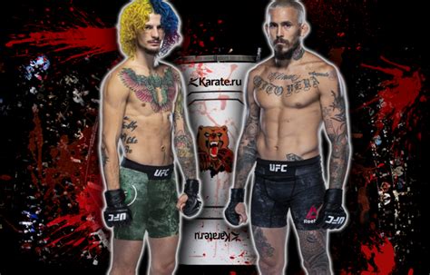 Kris moutinho, with official sherdog mixed martial arts stats, photos, videos, and more for the bantamweight fighter from united. UFC 252: Шон О'Мэлли vs. Марлон Вера. Итог и ВИДЕО