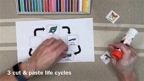Butterfly Life Cycle Unit For Special Education Youtube